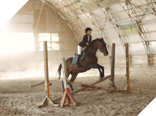 droit équin 1 https://kathrin-ullmann.fr/wp-content/uploads/2021/03/droit-equin-1.png